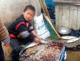 17岁网红男孩“杀鱼弟”喝下剧毒农药自杀背后故事令人心酸